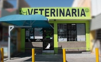 Veterinaria Castañeda