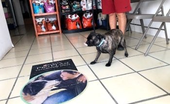 Veterinary Services Marbet