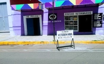 Clínica Veterinaria De Pelos