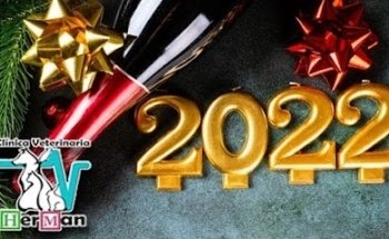 Clínica Veterinaria 