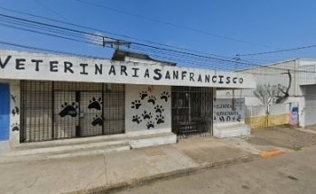 Veterinaria San Francisco