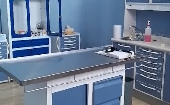 CENTRO VETERINARIO CINCINNATI