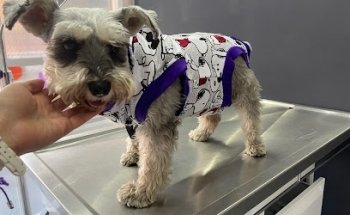 Veterinaria Anakalia