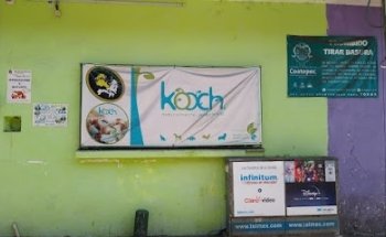 Productos Veterinarios Naturales Kooch