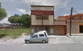 Consultorio Veterinario Cuervo