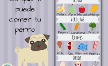 La Casa de Lola Veterinaria, Spa & Boutique