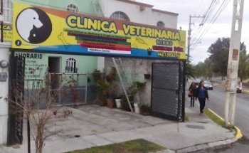 Clínica Veterinaria Pequeñas Servicio Especializado