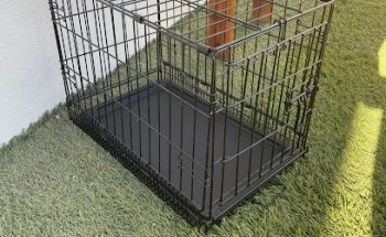 Animalia Veterinaria Integral