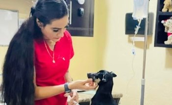 Veterinaria Fanny Santa Anita