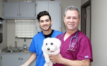 Clínica Veterinaria 2000