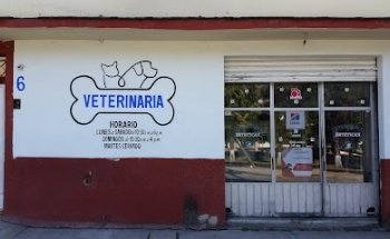Veterinaria Estetican