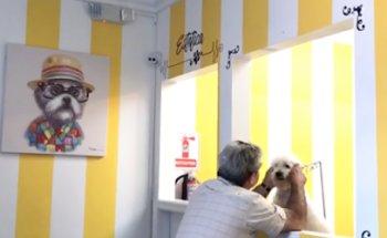 Dr.Vet Pet Emergency