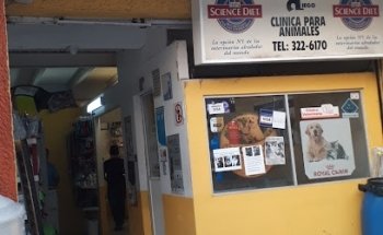 JAVIER HOLGUIN ESCOBAR