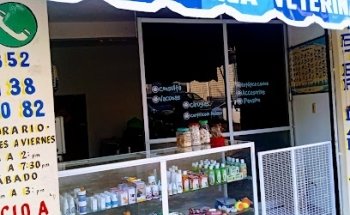 Clínica Veterinaria Mi Mascota