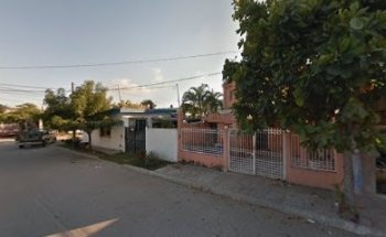 Estetica Canina Patitas