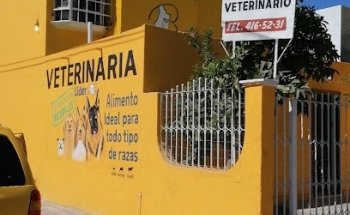Beltrán Veterinarian