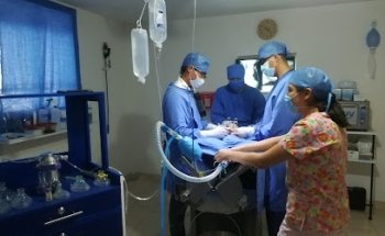 Veterinaria Consulta Y Cirugía