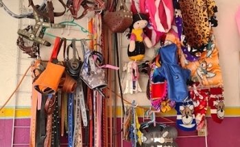 Consultorio Médico Veterinario Medivet