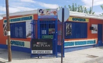 Veterinaria Gopherus Geminis