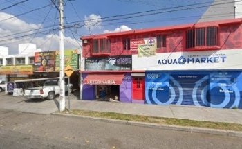 Cat & Dog Pet Shop and Spa