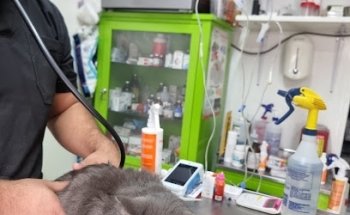 Servicio Veterinario Integral