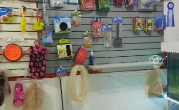 Servicio Integral veterinario