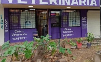 Veterinaria BASTET