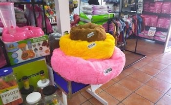 Veterinaria expert vet