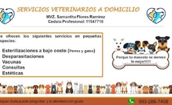 Servicios Veterinarios a Domicilio