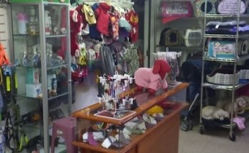 Estética canina, Pet & Me