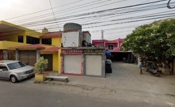 Veterinaria kolmillos