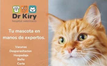 Dr. Kiry hospital veterinario