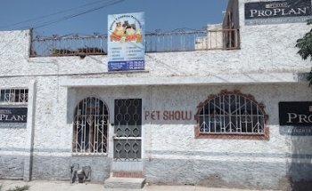 Pet friendly saves your best friends