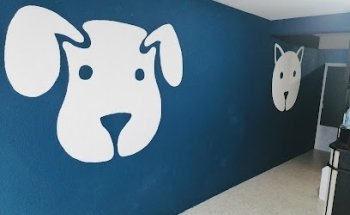 Centro veterinario Dr. Mascota