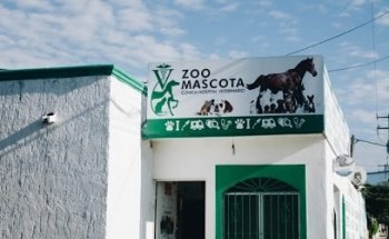 ZOO MASCOTA