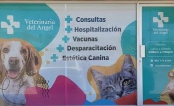 Veterinaria del Angel