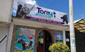 Veterinaria TONY