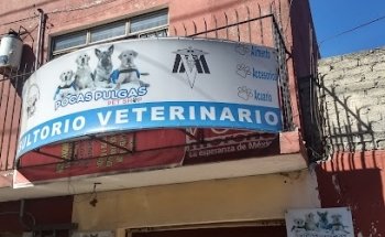 Pocas Pulgas Pet Shop Consultorio Veterinario y Tienda de mascotas
