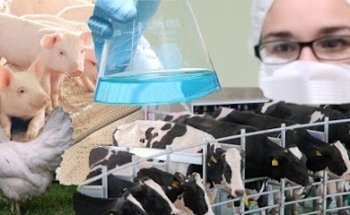 Medicamentos Veterinarios - MEDICAL INTEGRAL LABORATORY