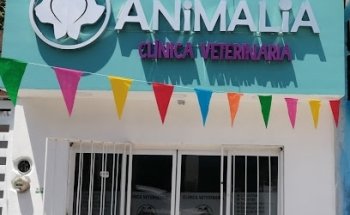 Animalia Vet