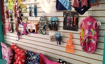 CLINICA VETERINARIA CAN GA