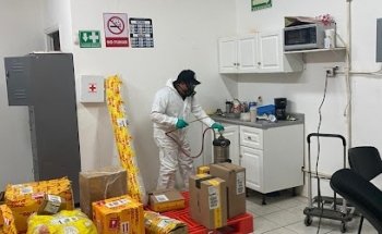 Fumigaciones, Sanitizacion y Desinfecciones Chetumal T control de plagas Chetumal