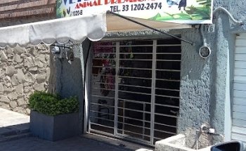 Veterinaria Animal Premium