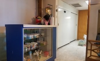 Wildlife Veterinaria