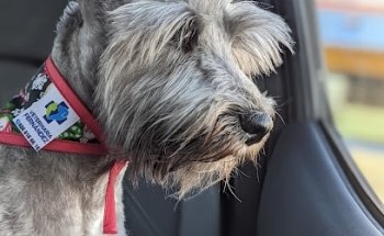 Veterinaria Fernández