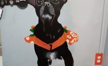 Clínica VETERINARIA Bo-Di