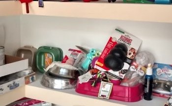 CLINICA VETERINARIA ADORABLES MASCOTAS