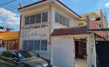 Soto Veterinary Clinic