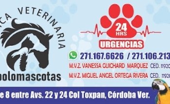 Zoolomascotas Clínica
