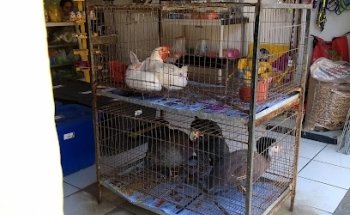 Veterinaria La Granja